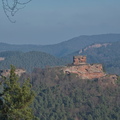 DSC 3025