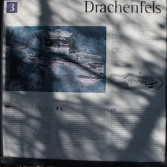 DSC 3031