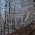 DSC 3063