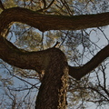 DSC 3092