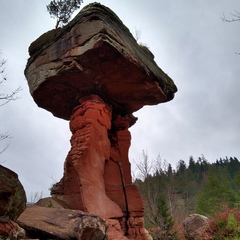 IMG 20200119 115329376 HDR