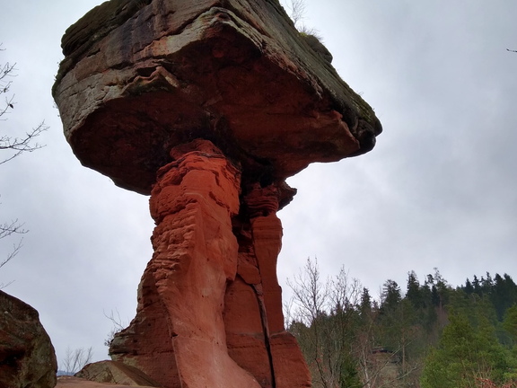 IMG 20200119 115329376 HDR