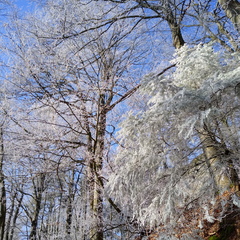 IMG 20200122 115109379 HDR