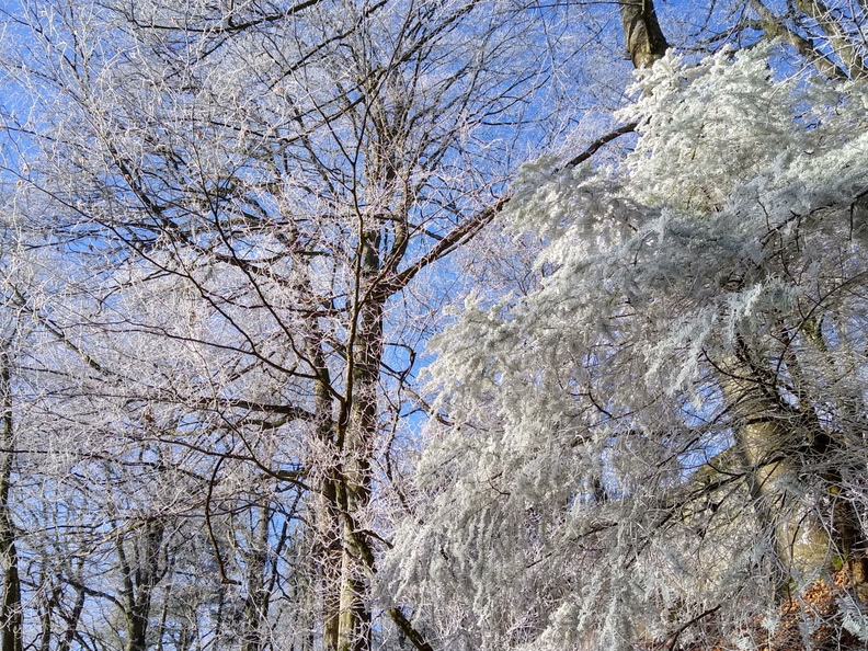 IMG 20200122 115109379 HDR