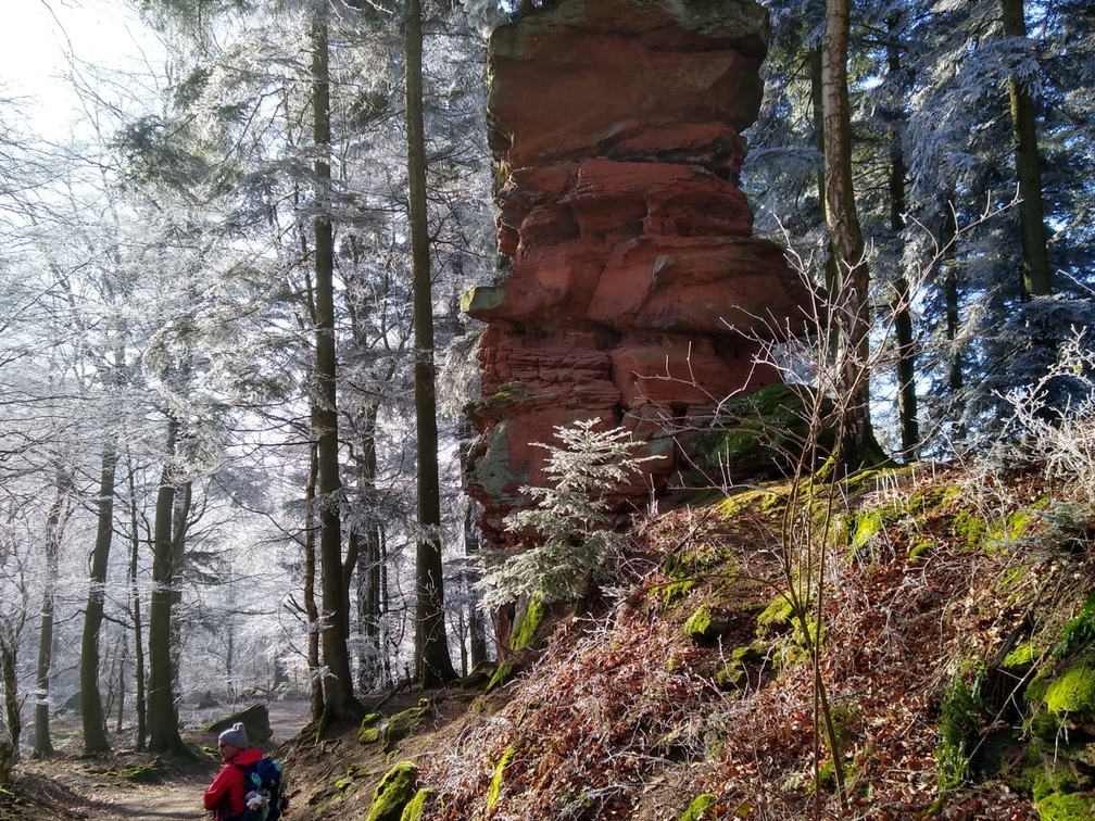 IMG 20200122 115450889 HDR