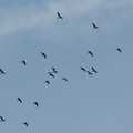 DSC_3202.jpeg