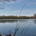 DSC 3211