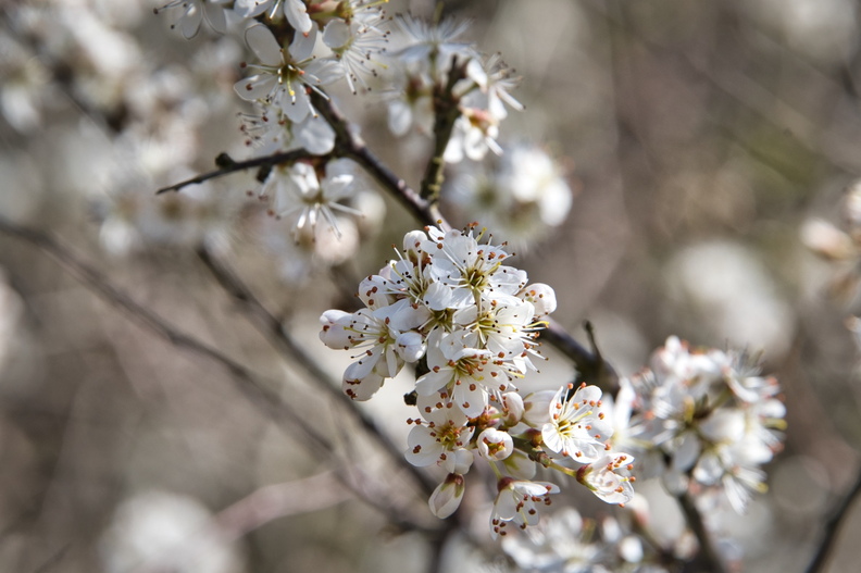 DSC_3228.jpeg