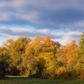 DSC 4382