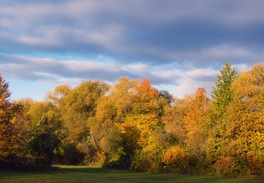 DSC 4382