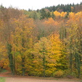 DSC 4388