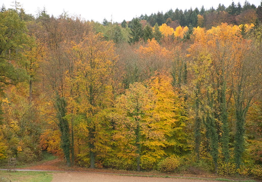DSC 4388