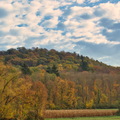 DSC 4442