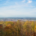 DSC 4461