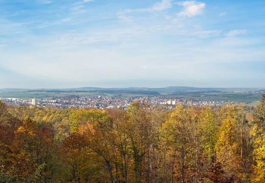 DSC 4461