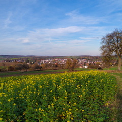 IMG-20201115-WA0021