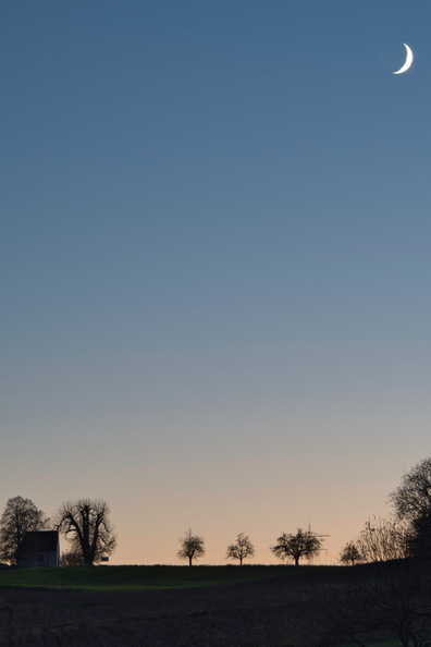 DSC_4487.jpeg