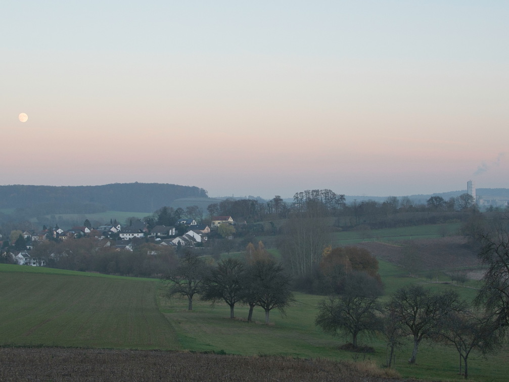 DSC 4616