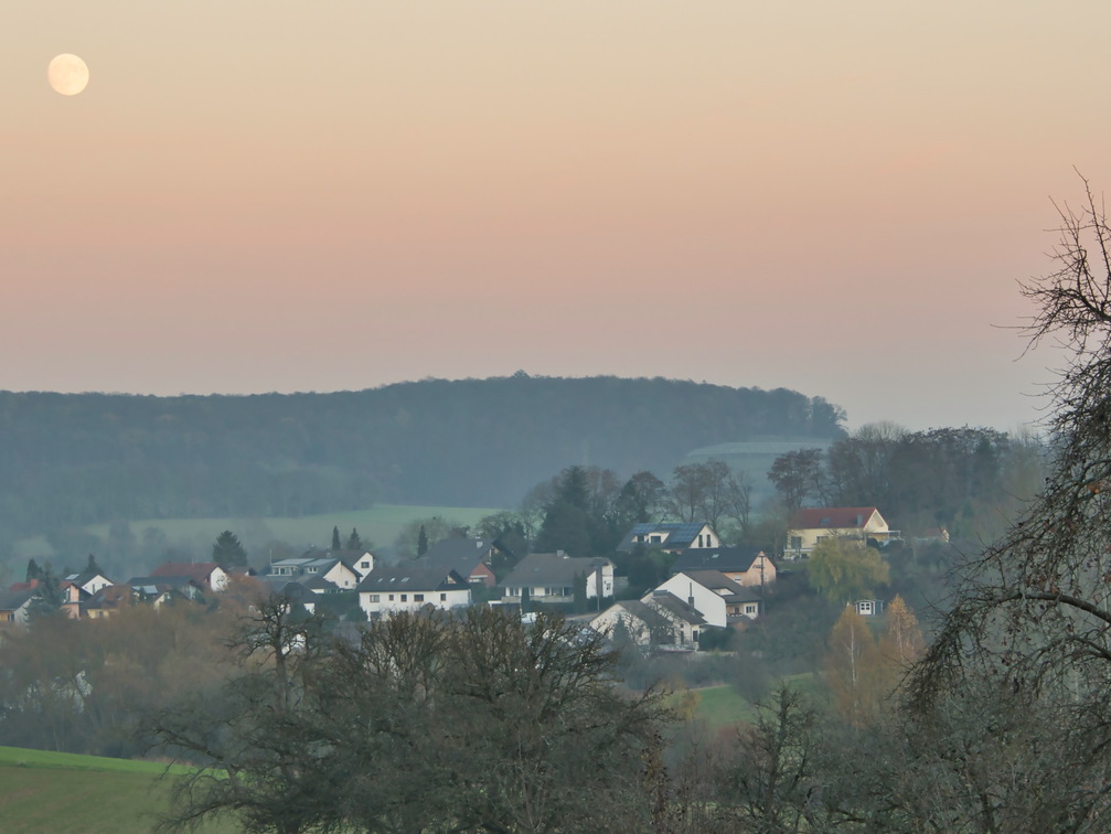 DSC 4619