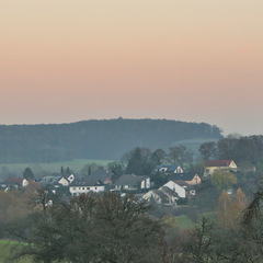 DSC 4619