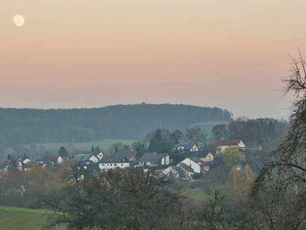 DSC 4619