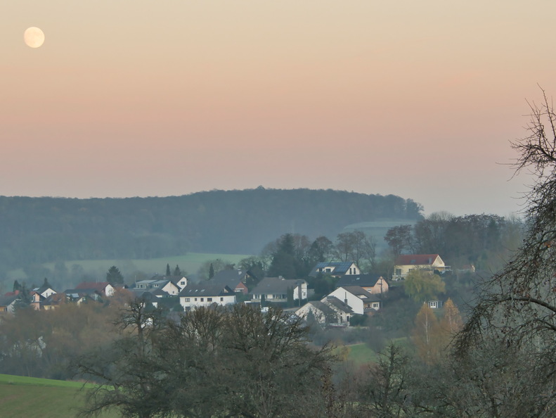 DSC 4619