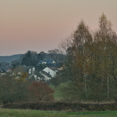 DSC 4629