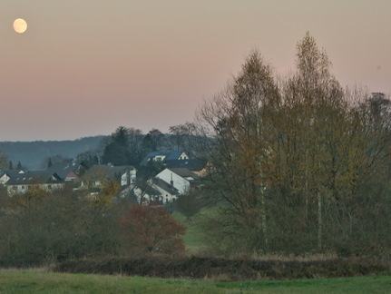 DSC 4629