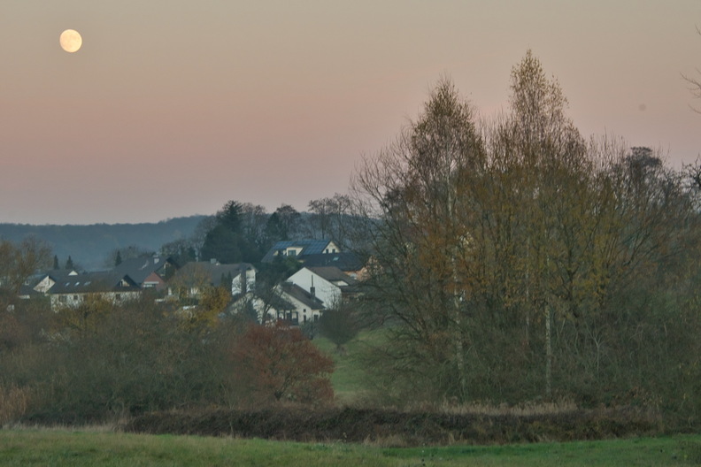 DSC_4629.jpeg