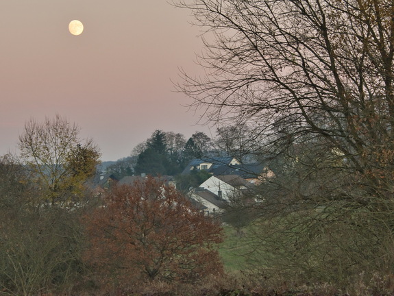 DSC 4635