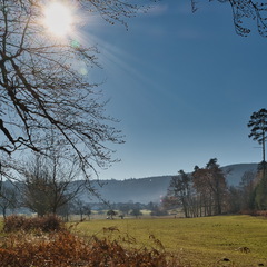 DSC 4540
