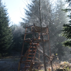 DSC 4541