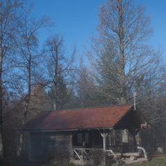 DSC 4550