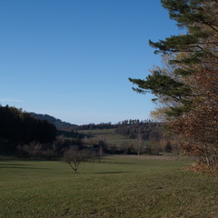 DSC 4573