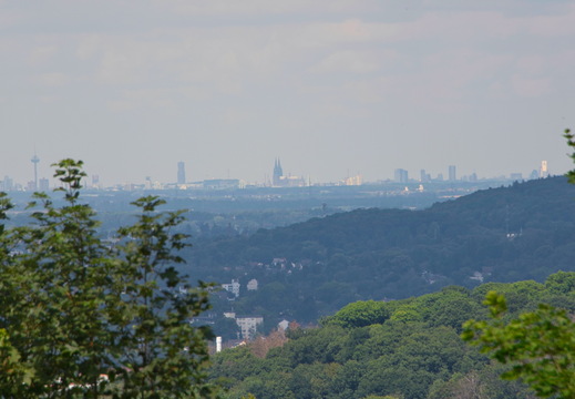 DSC 4195
