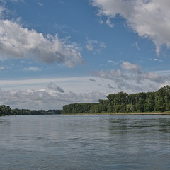DSC 3633