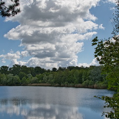 DSC 3641