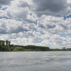 DSC 3645