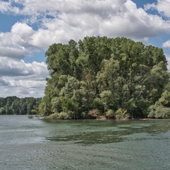 DSC 3647