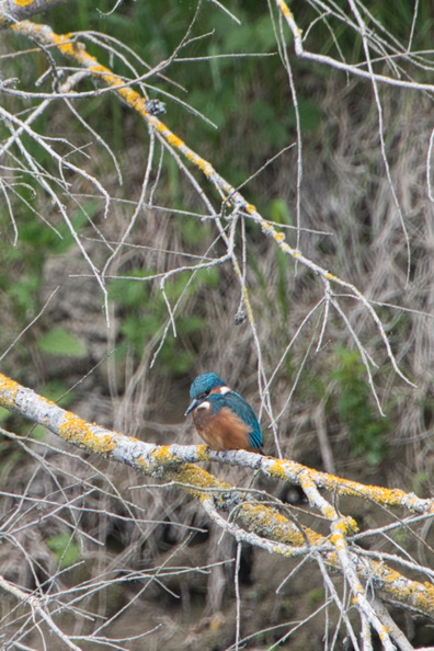 DSC_3679.jpeg