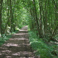 DSC 3800