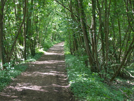 DSC 3800