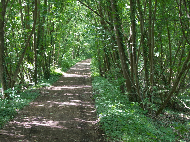 DSC 3800
