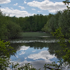DSC 3804