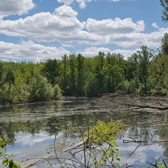DSC 3816