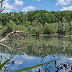 DSC 3825