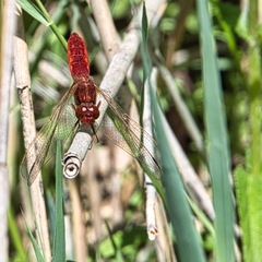DSC 3831