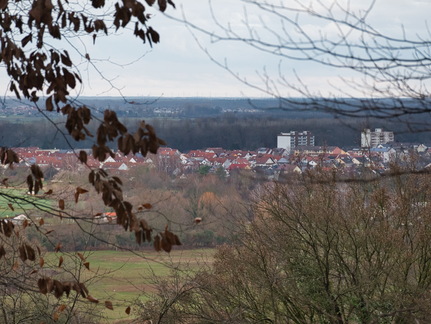 DSC 4692