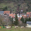 DSC 4693