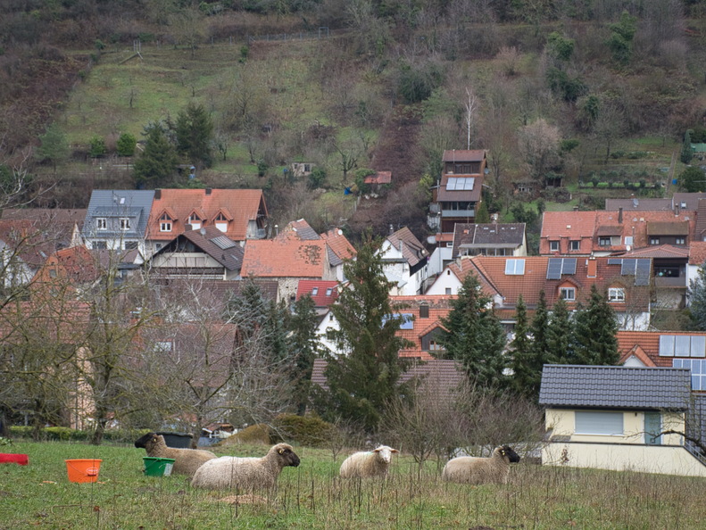 DSC 4693